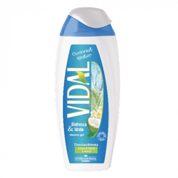 VIDAL DOCCIA COCCO 250ML